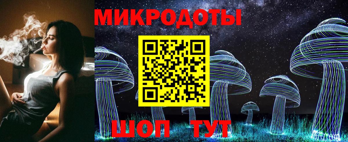 Псилоцибиновые грибы Cubensis Ярославль
