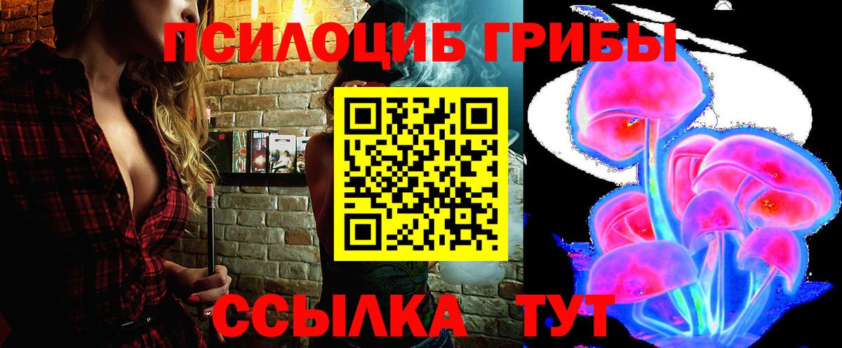 Ярославль  Псилоцибиновые грибы Psilocybe  Вход с VPN 